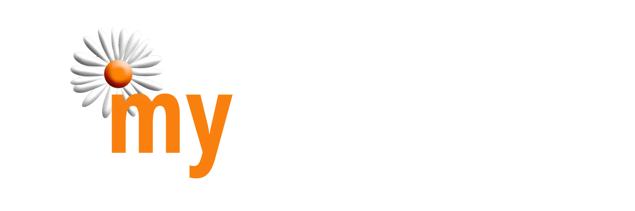 My Oven Cleaner